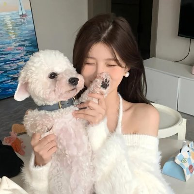 渚北谜案